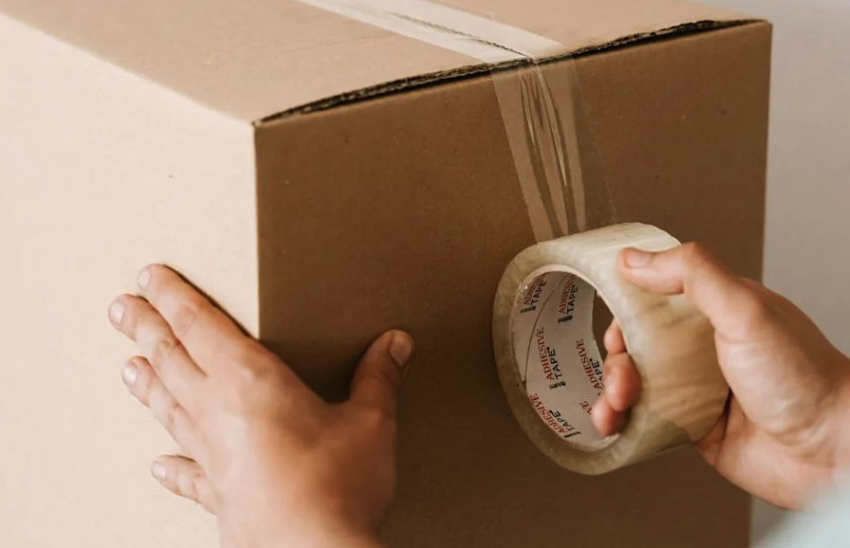 folder illustrations